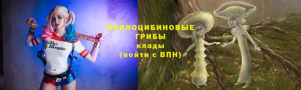 крисы Бронницы