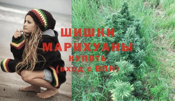 спиды Бородино