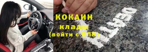крисы Бронницы