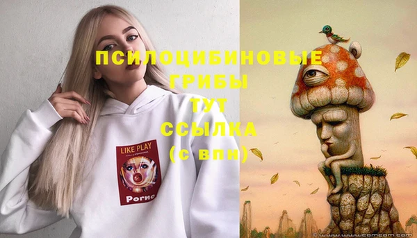 ПСИЛОЦИБИНОВЫЕ ГРИБЫ Верхнеуральск