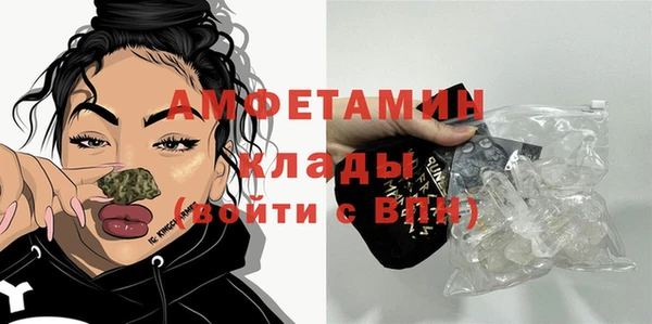 спиды Бородино