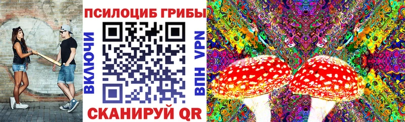 блэк спрут как зайти  Озёрск  Галлюциногенные грибы MAGIC MUSHROOMS 